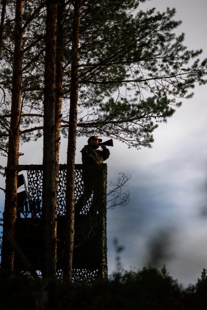 Mikael calls the world to Harads