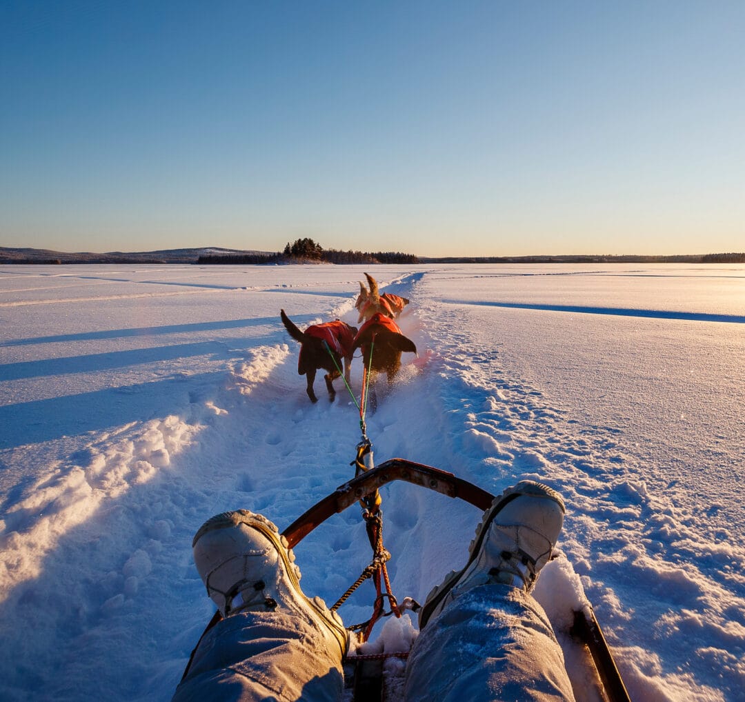 Förstapersonsvy från hundsläde över snötäckt sjö i solnedgång, två hundar drar ekipaget och åkarens vinterstövlar och slädens träram syns i förgrunden.