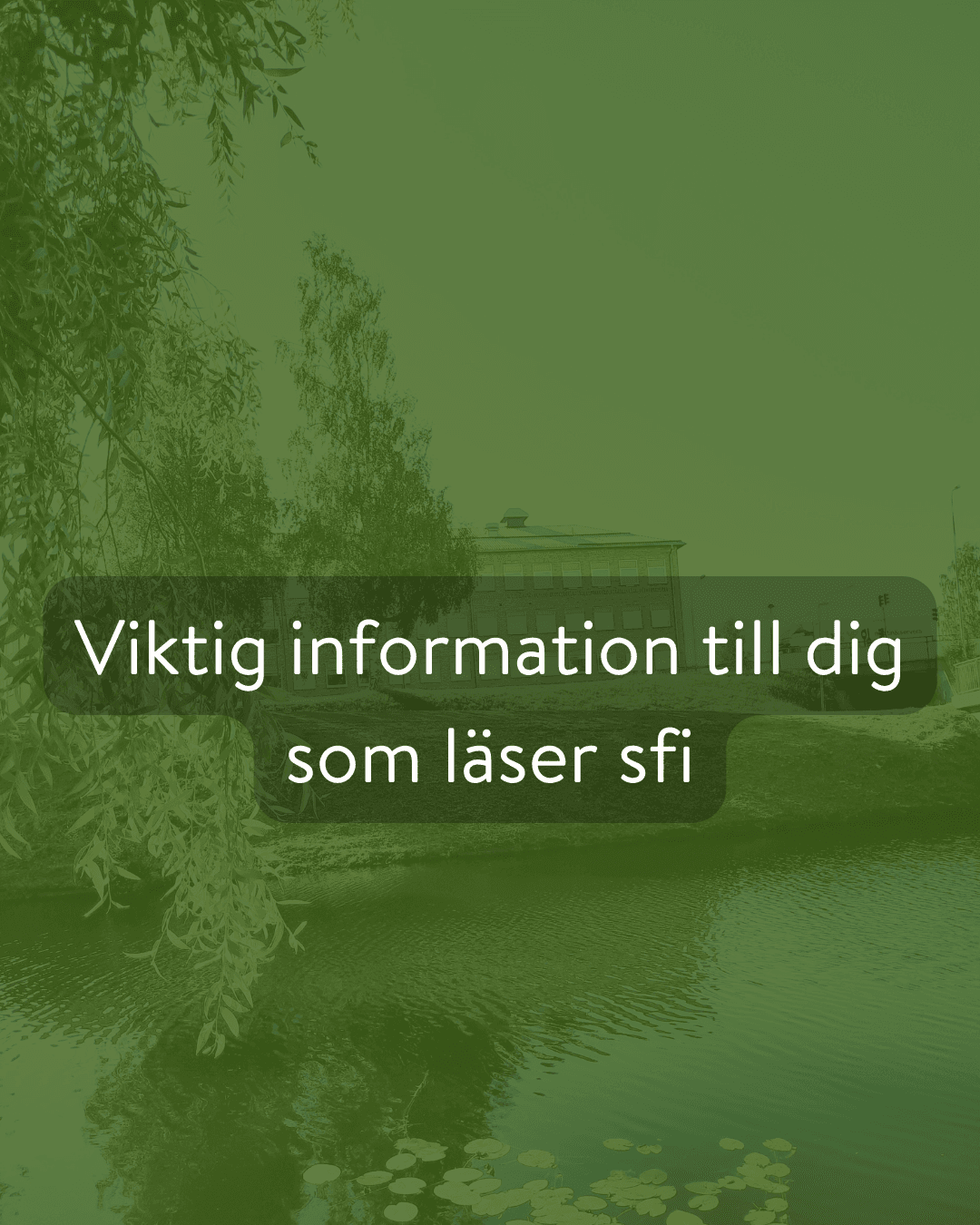 Swedish informational banner: text reads 'Viktig information till dig som läser sfi' on a dark rounded rectangle over a green-tinted river and trees scene.