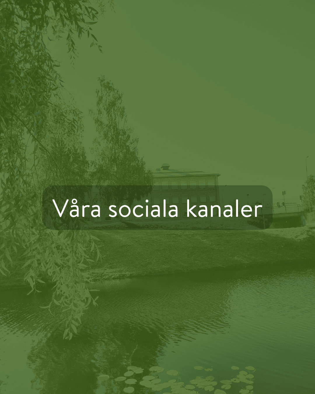Green-tinted banner with the Swedish text 'Våra sociala kanaler' over a riverside scene.
